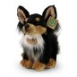 Preview: Chihuahua sitting ± 15 cm