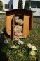 Preview: Tiny house set