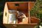 Preview: Tiny house set