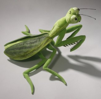 Mantis  ± 34 cm