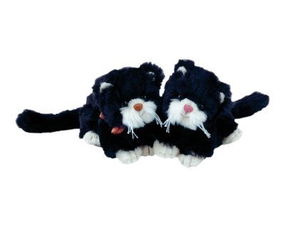 schwarze Spitzen  25 x 35 cm Hochwertiger Teddy-Plüsch Edelplüsch hellbeige 