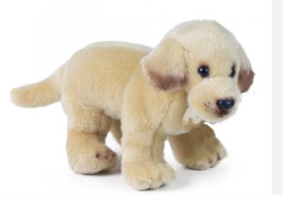Golden Retriever ± 21 cm long