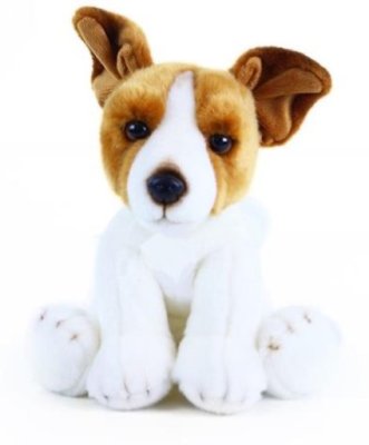 Jack Russel sitting ± 30 cm