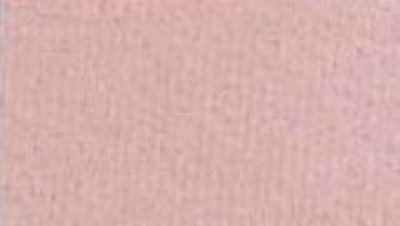 Ministoff rose ca. 23 x 23 cm