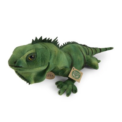 grüner Leguan ca. 70 cm lang