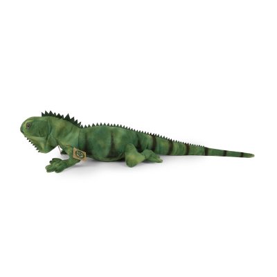 grüner Leguan ca. 70 cm lang