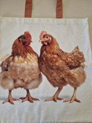 Überraschungstüte - Hühner