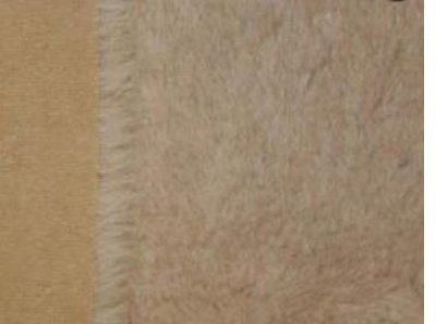 Alpaca beige ± 22 mm Steiff-Schulte