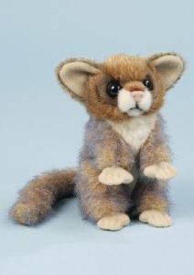 Buschbaby ca. 15 cm groß