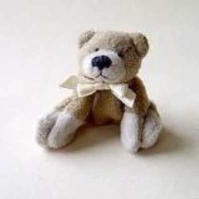 Pillitaps teddy Riko